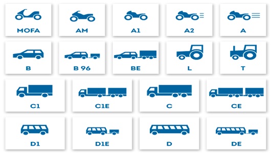 Voraussetzung Erwerb Führerschein